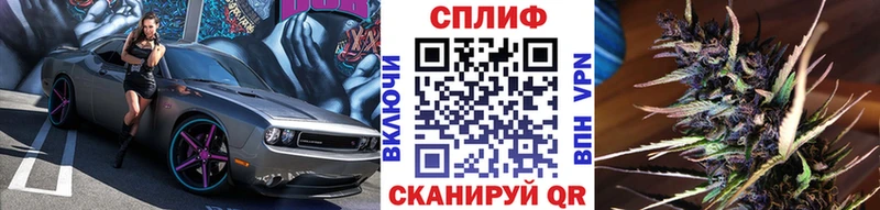 Конопля сатива  кракен рабочий сайт  Новохопёрск  купить  сайты 